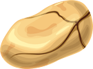 5281_nuts_seeds-04-[Converted]-032